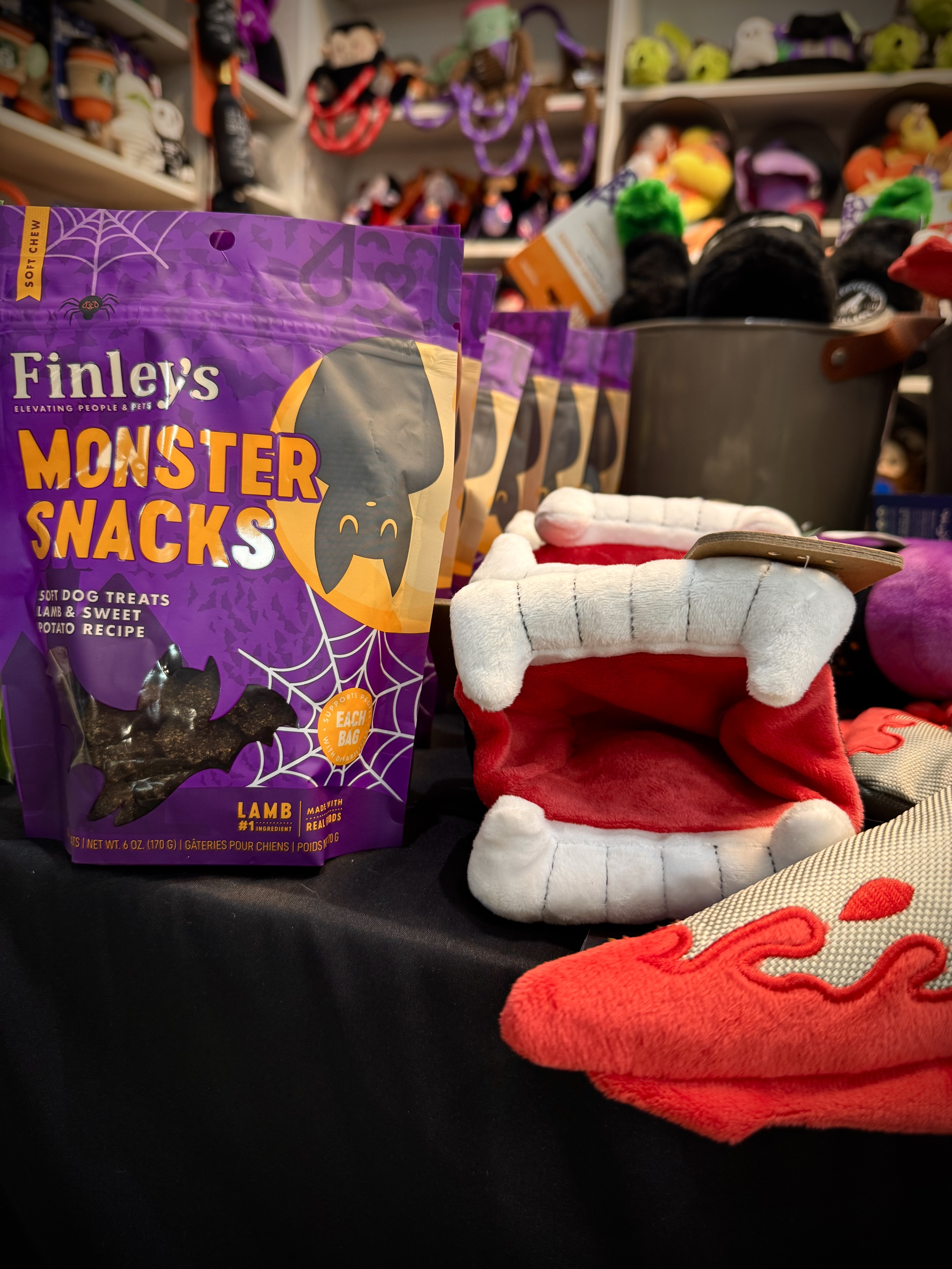 Halloween treats and spooky toys at Wishbone Pet Co.