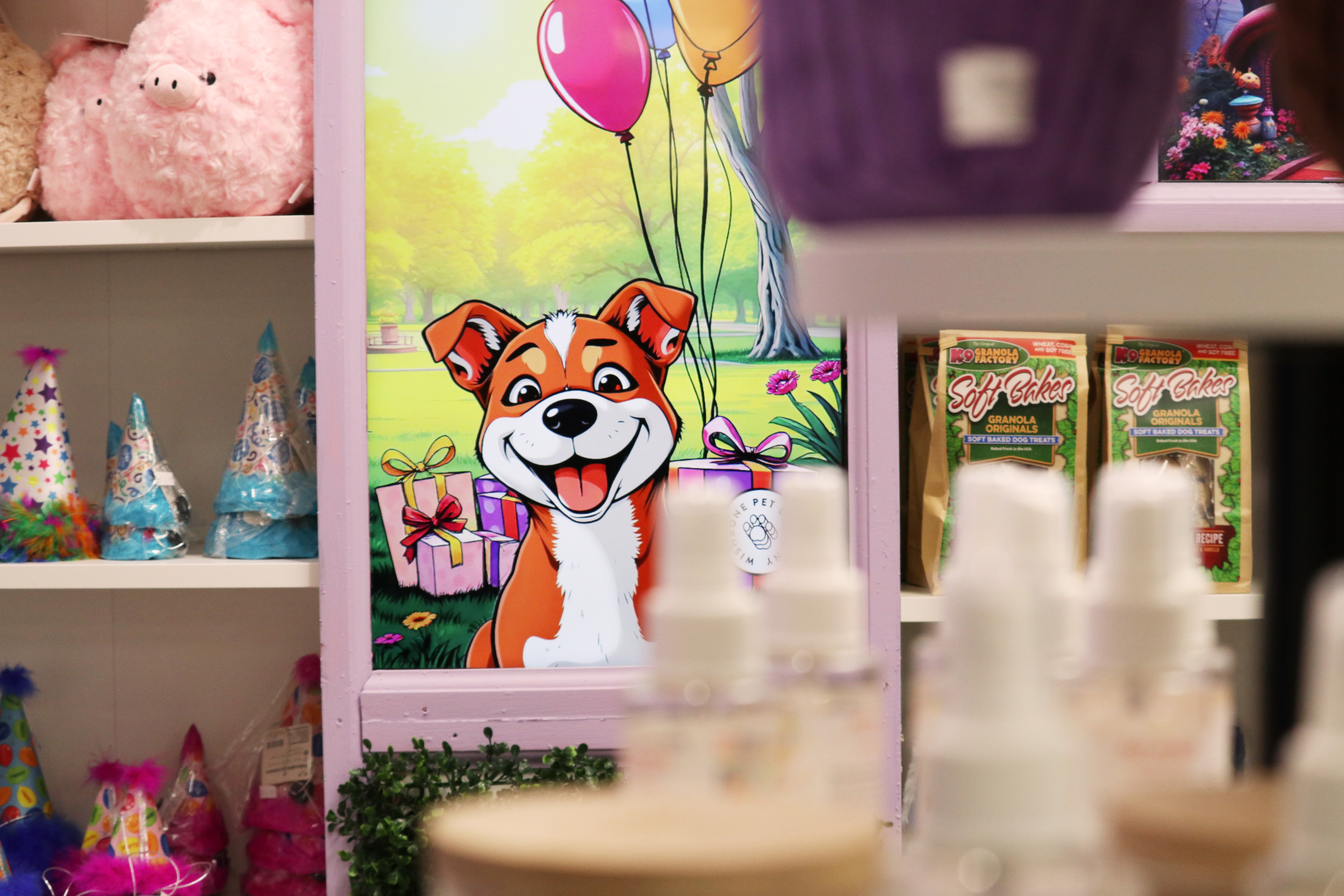 Birthday section and party supplies at Wishbone Pet Co.