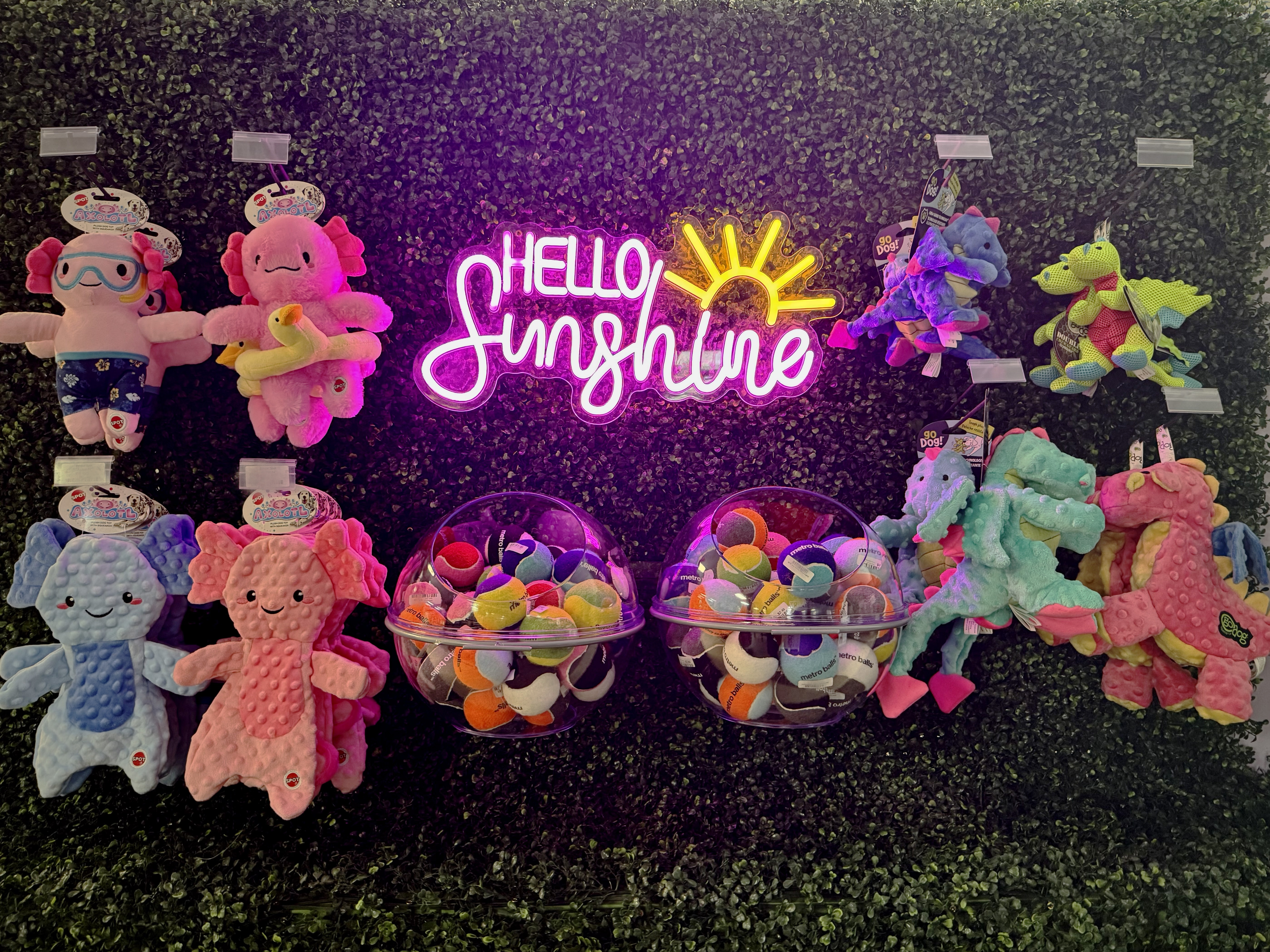 Hello Sunshine toy wall at Wishbone Pet Co.