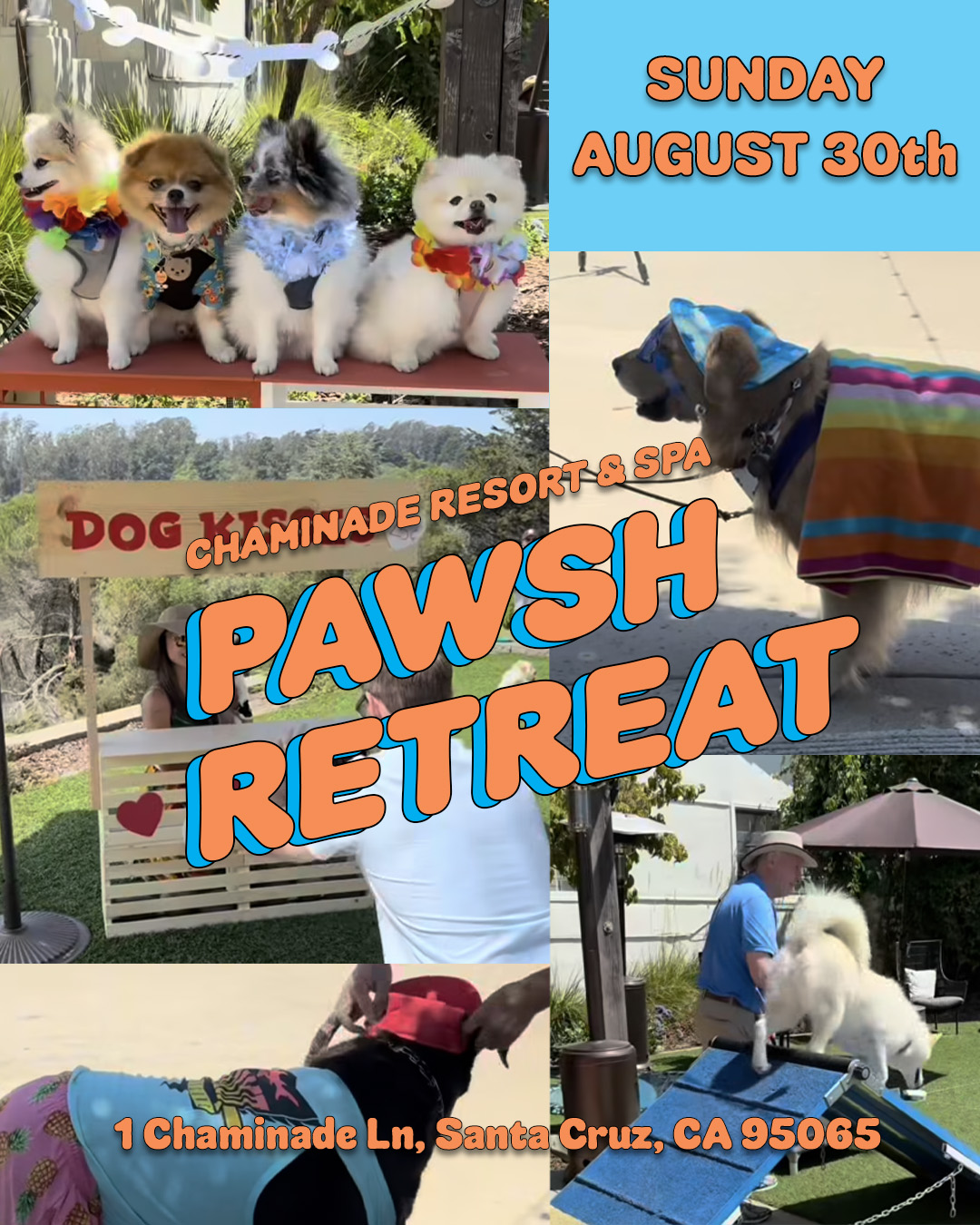 Pawsh Retreat at Chaminade Resort Santa Cruz