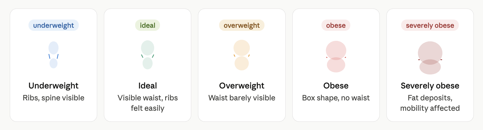 Pet body condition score