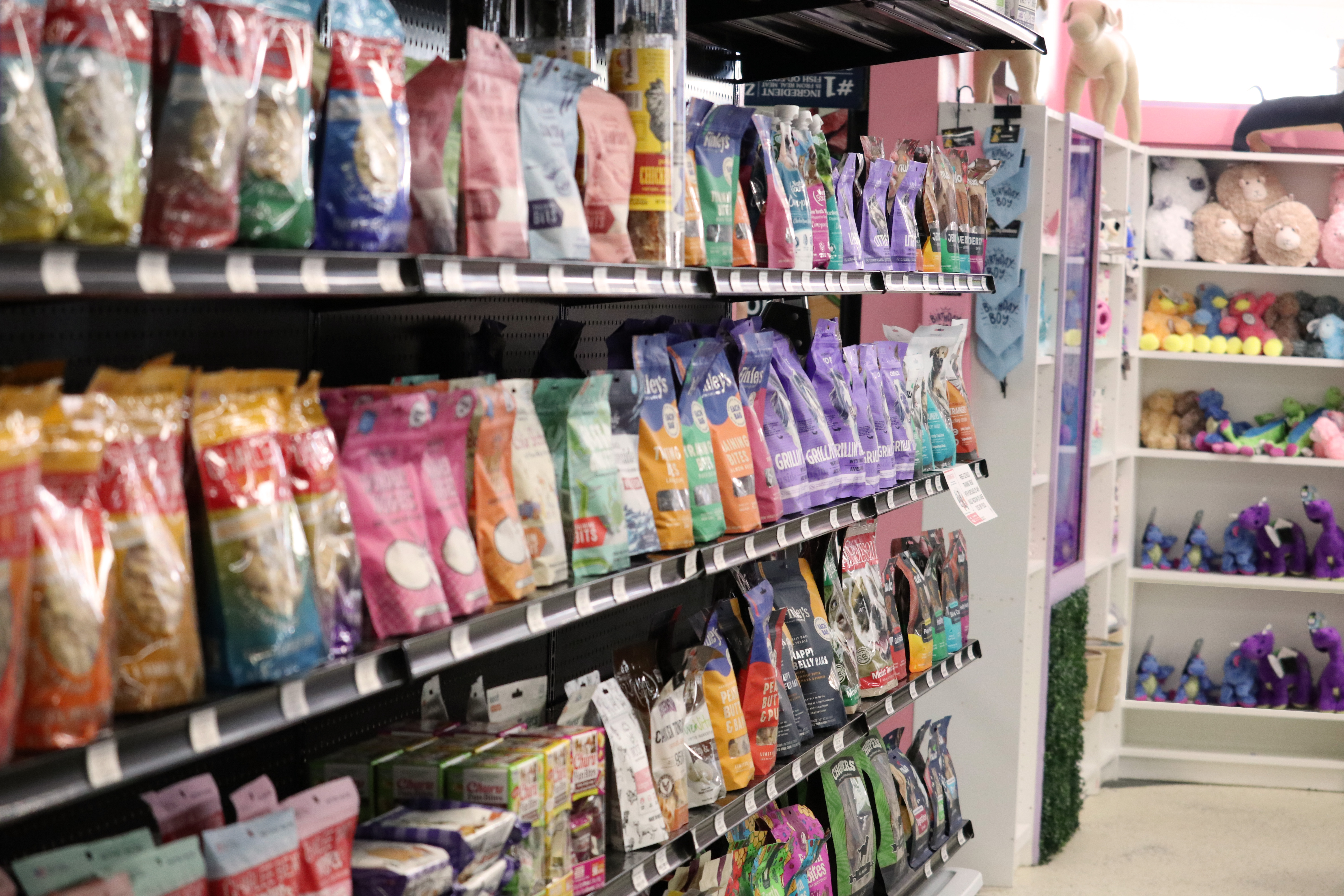 Treat and chew wall at Wishbone Pet Co.