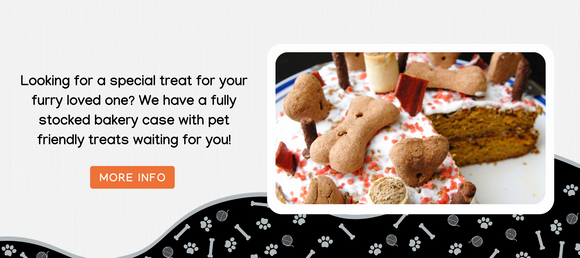 Pet-friendly cake adorned with bone-shaped and chewable treats, perfect for your furry companion. The image invites viewers to explore a fully stocked bakery case filled with special treats for pets. The caption encourages users to click for more information on these delicious, pet-safe snacks.